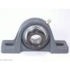 FHSPW202-15mm Pillow Block Cast Iron Light Duty 15mm Ball Bearings Rolling